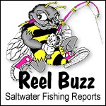 ReelBuzz Saltwater Fishig Reports