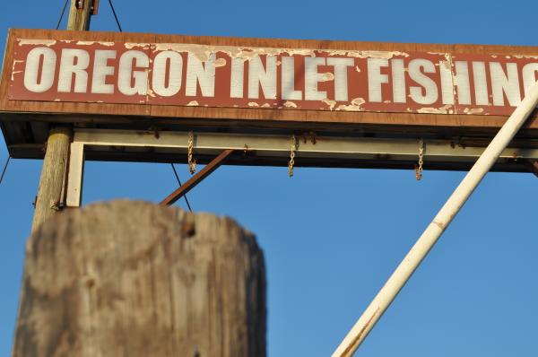 reelbuzz.com fishing photo