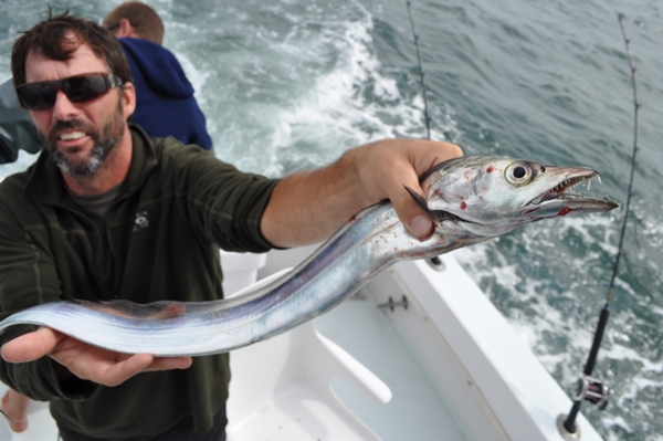 reelbuzz.com fishing photo