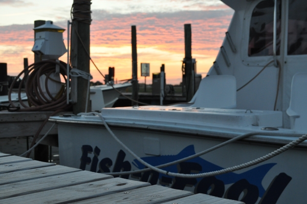 reelbuzz.com fishing photo